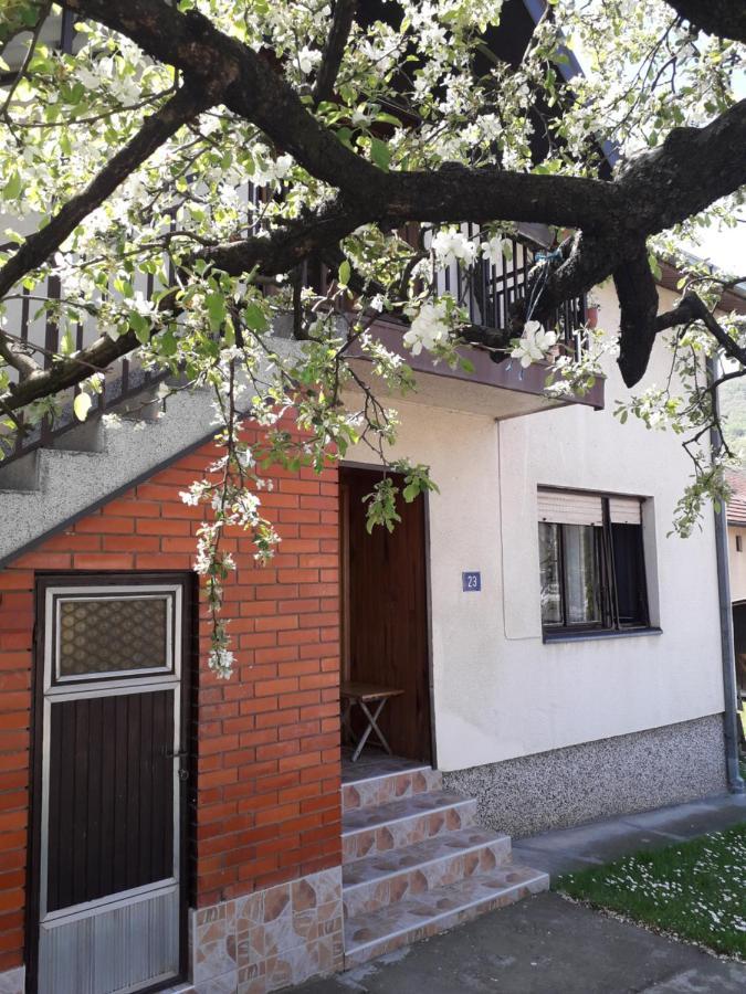 Rakic Apartman Bajina Basta Exteriér fotografie